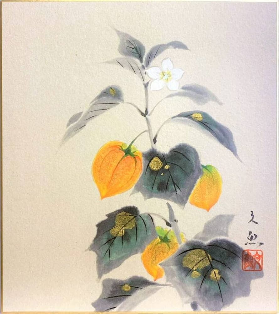 色紙、玉？、ほおずき、市、 色紙、玉？、ほおずき、市、